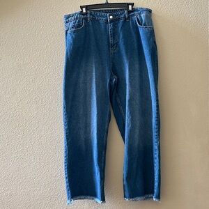 High Waist Raw Hem Jeans 3XL